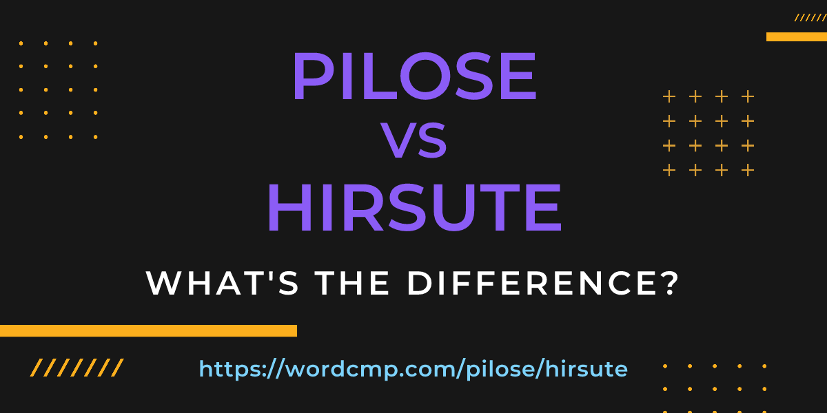 Difference between pilose and hirsute