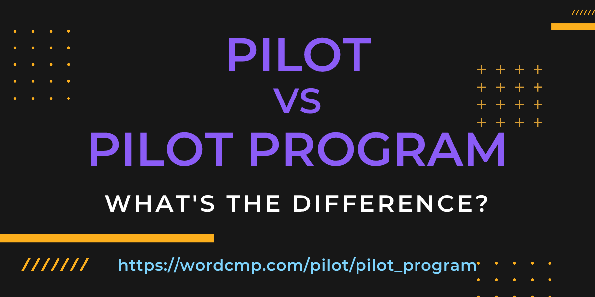 Difference between pilot and pilot program