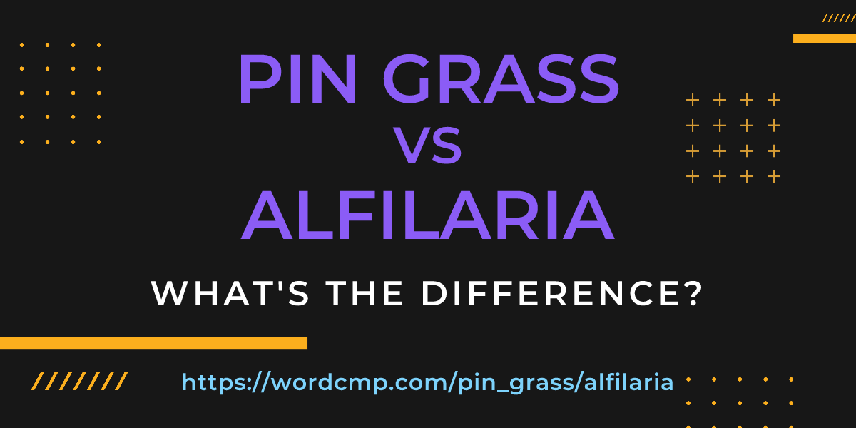 Difference between pin grass and alfilaria