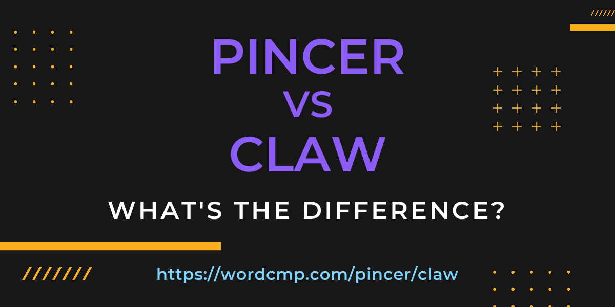 Difference between pincer and claw