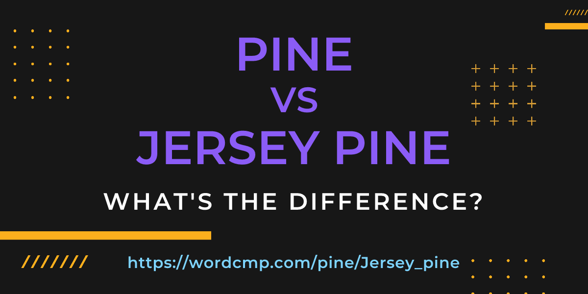 Difference between pine and Jersey pine