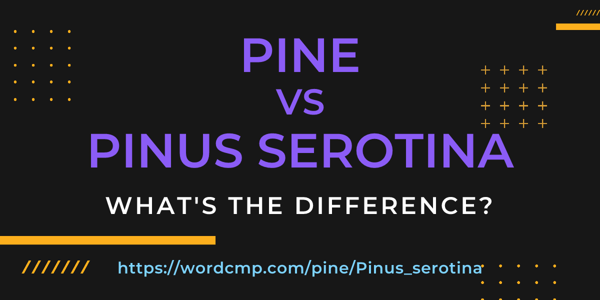 Difference between pine and Pinus serotina