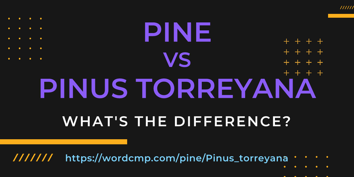 Difference between pine and Pinus torreyana
