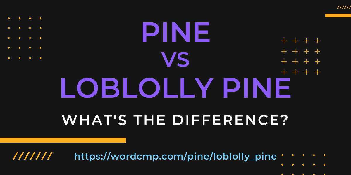 Difference between pine and loblolly pine