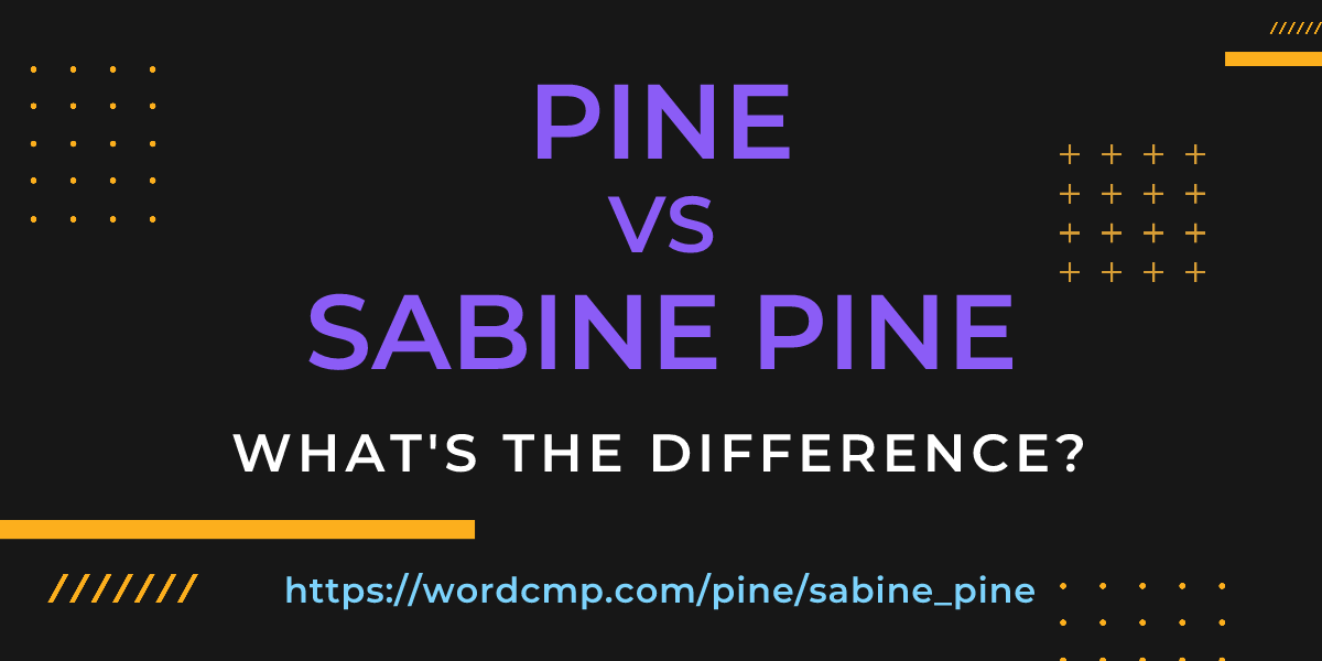 Difference between pine and sabine pine
