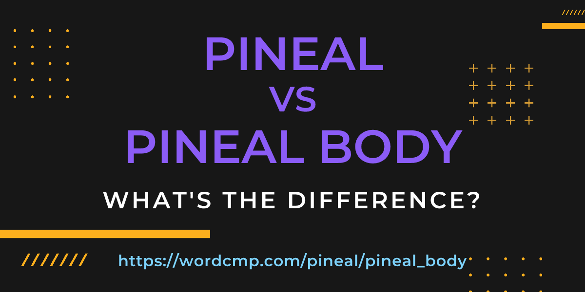 Difference between pineal and pineal body