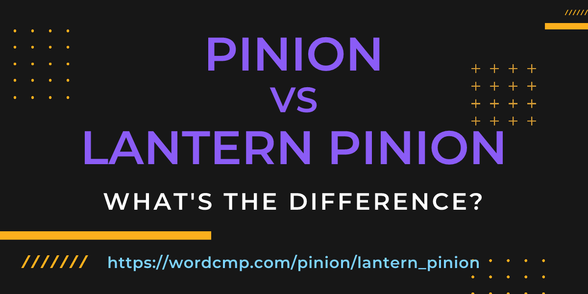 Difference between pinion and lantern pinion