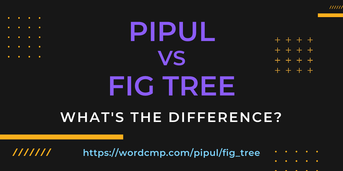 Difference between pipul and fig tree