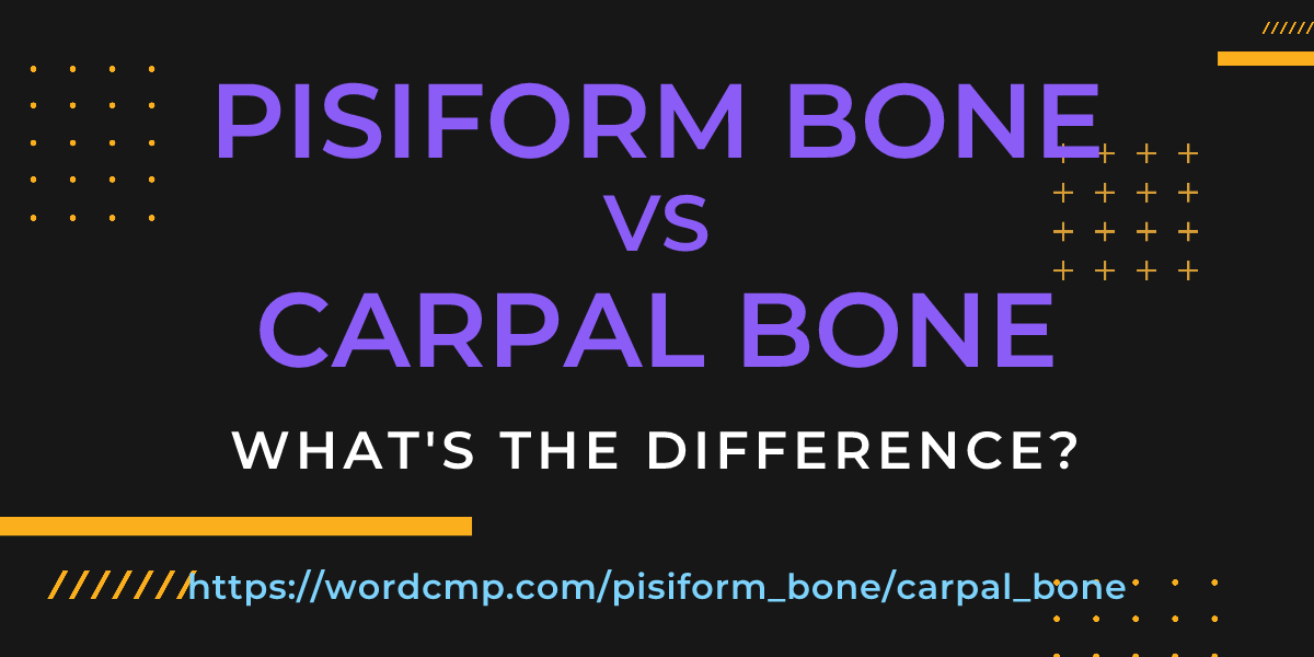 Difference between pisiform bone and carpal bone
