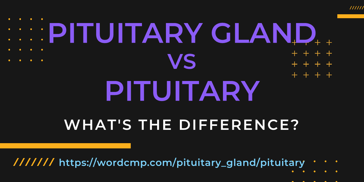 Difference between pituitary gland and pituitary
