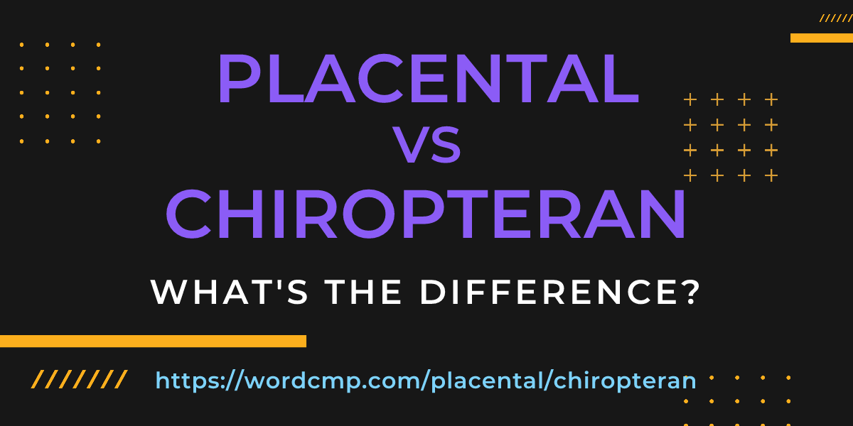 Difference between placental and chiropteran