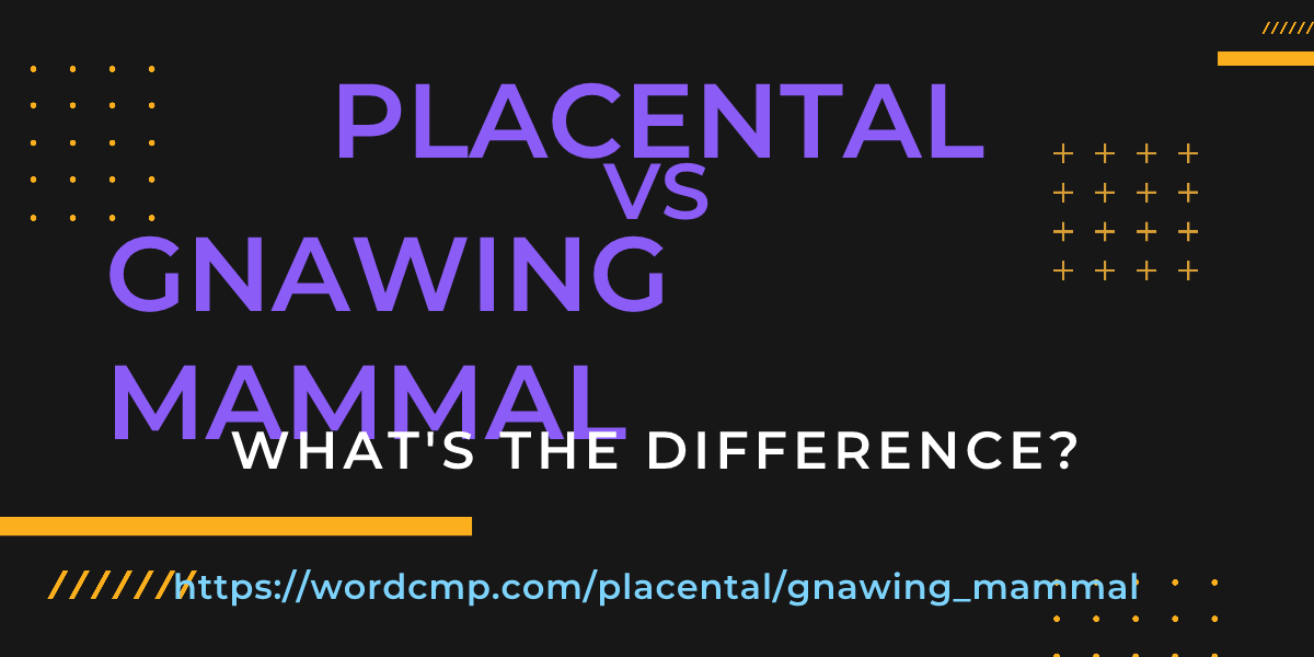 Difference between placental and gnawing mammal