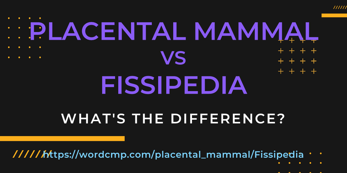 Difference between placental mammal and Fissipedia