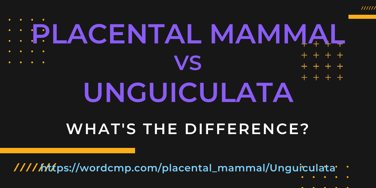 Difference between placental mammal and Unguiculata