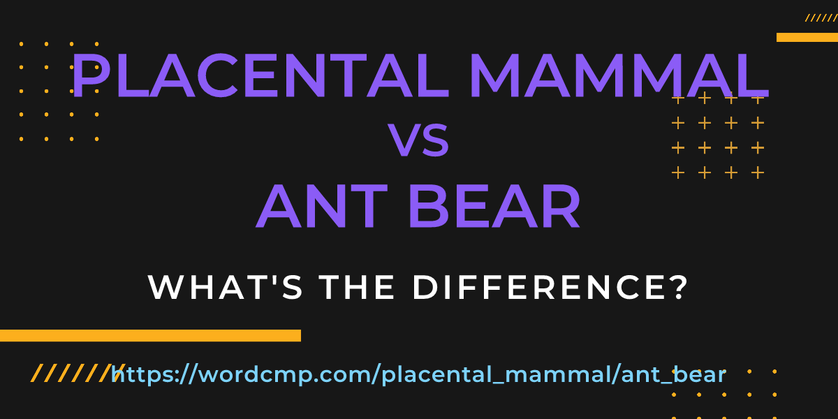 Difference between placental mammal and ant bear