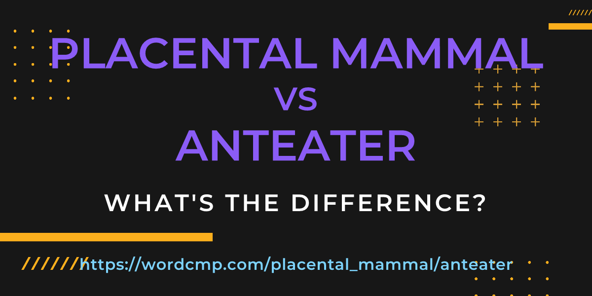 Difference between placental mammal and anteater