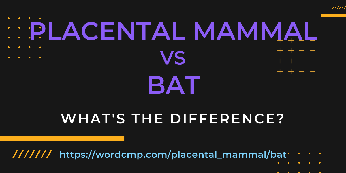 Difference between placental mammal and bat