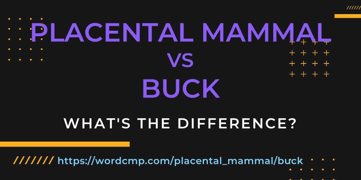 Difference between placental mammal and buck