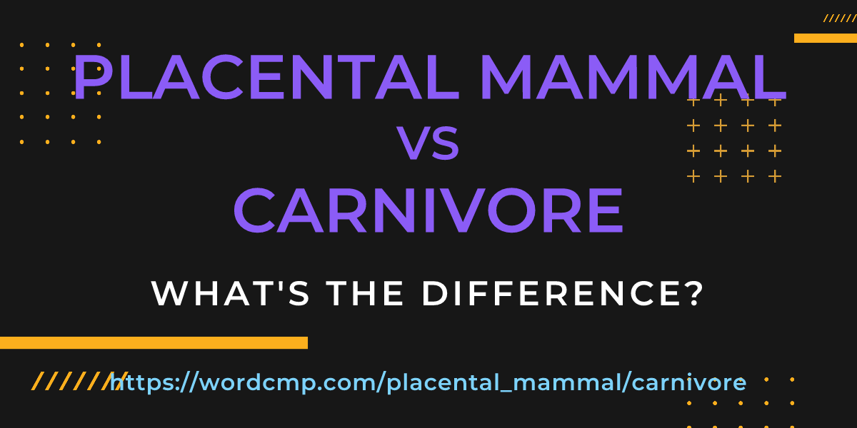Difference between placental mammal and carnivore