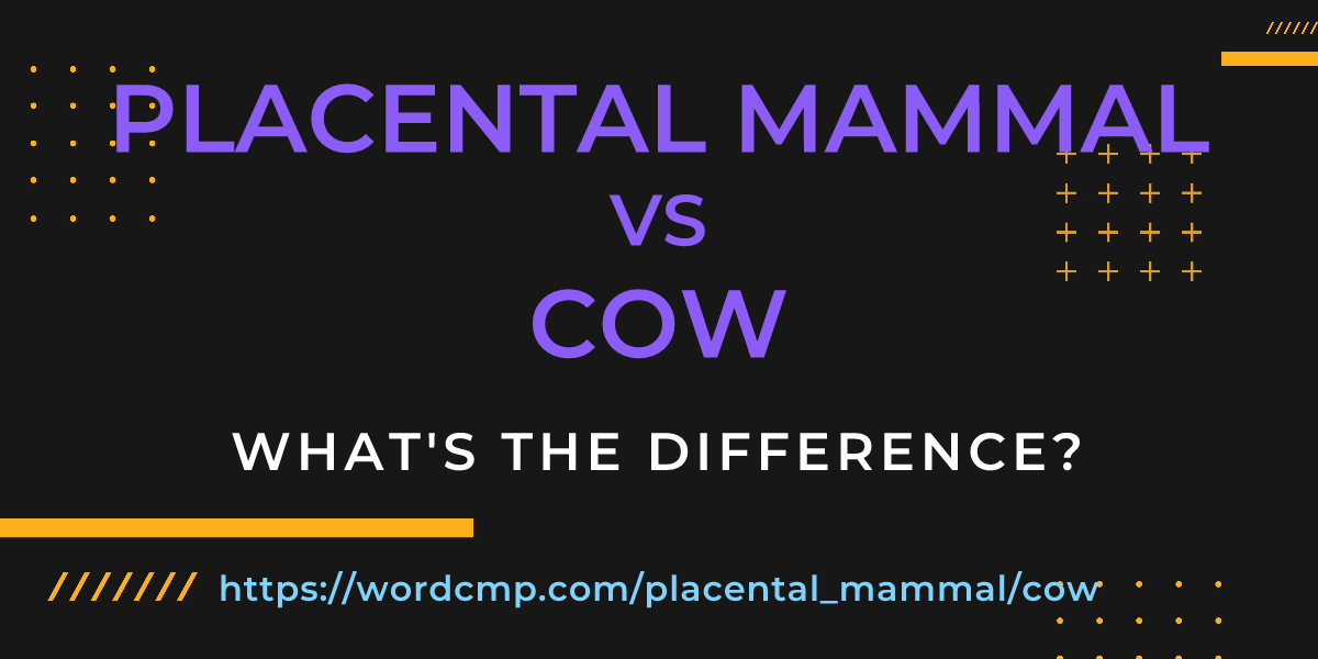 Difference between placental mammal and cow