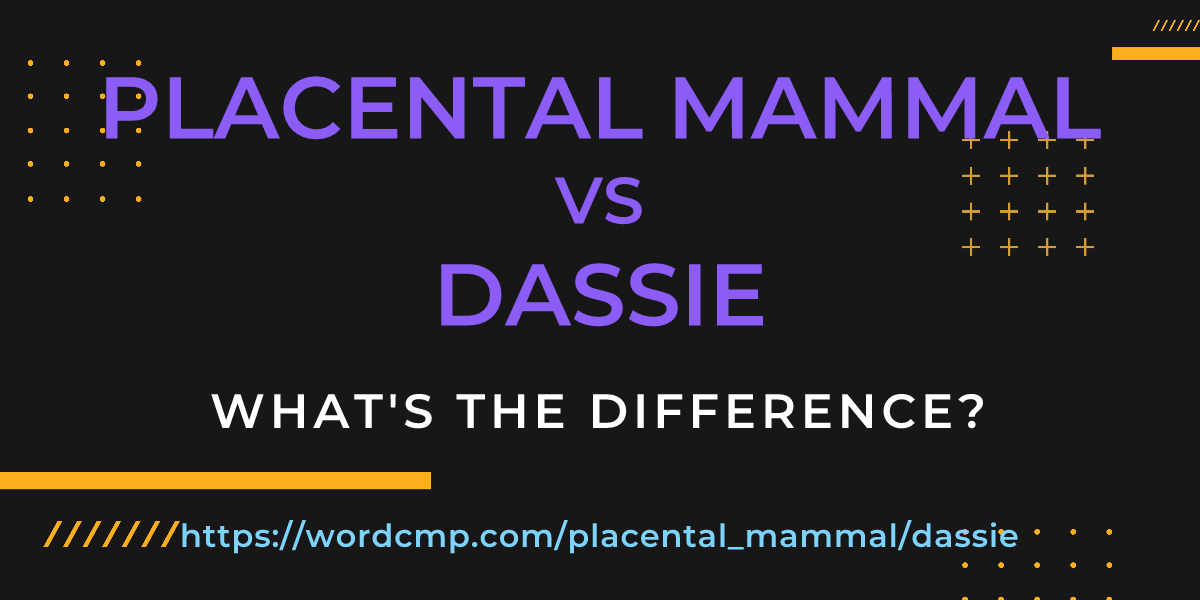 Difference between placental mammal and dassie