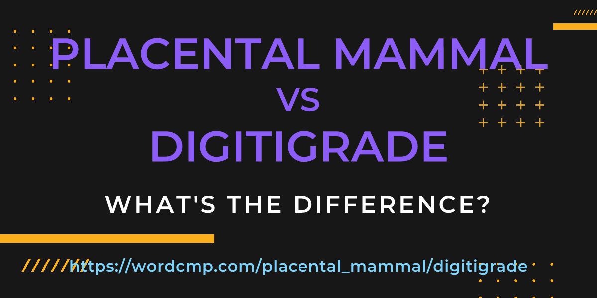 Difference between placental mammal and digitigrade
