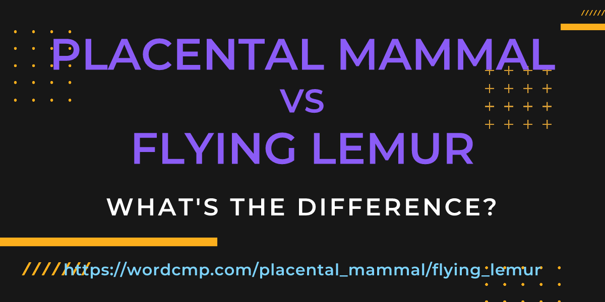 Difference between placental mammal and flying lemur