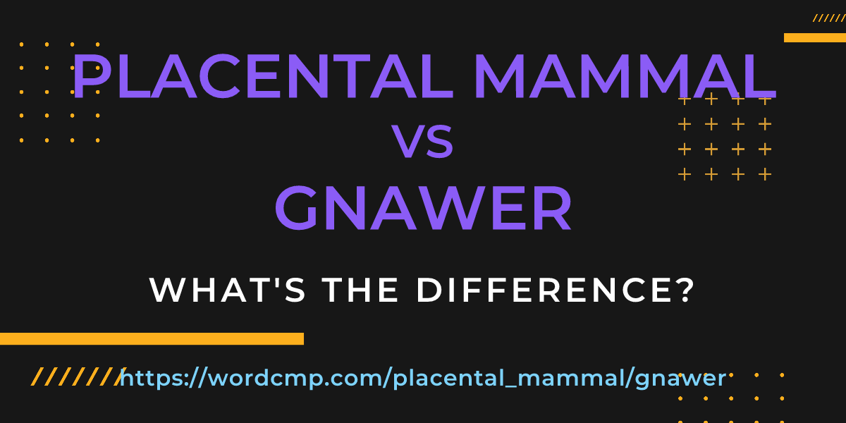 Difference between placental mammal and gnawer