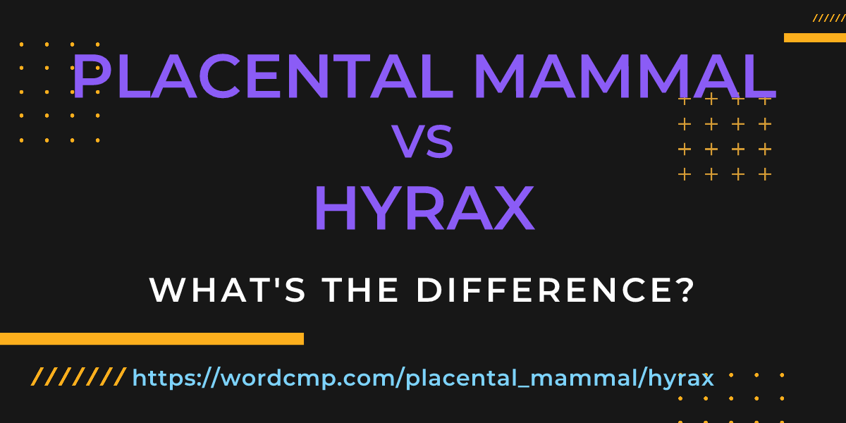 Difference between placental mammal and hyrax