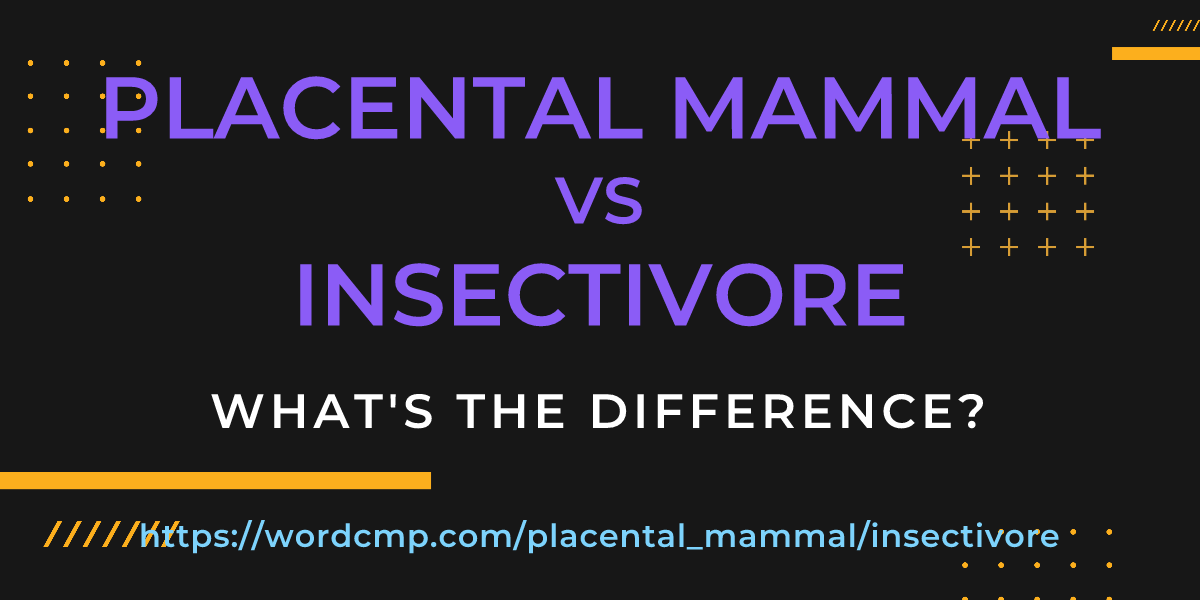 Difference between placental mammal and insectivore