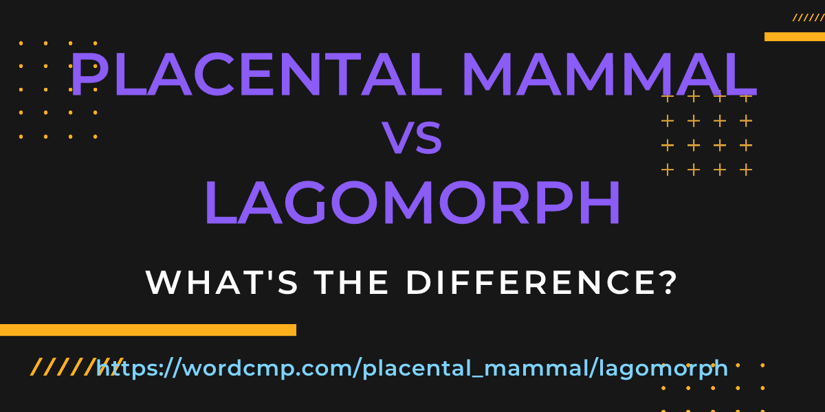 Difference between placental mammal and lagomorph