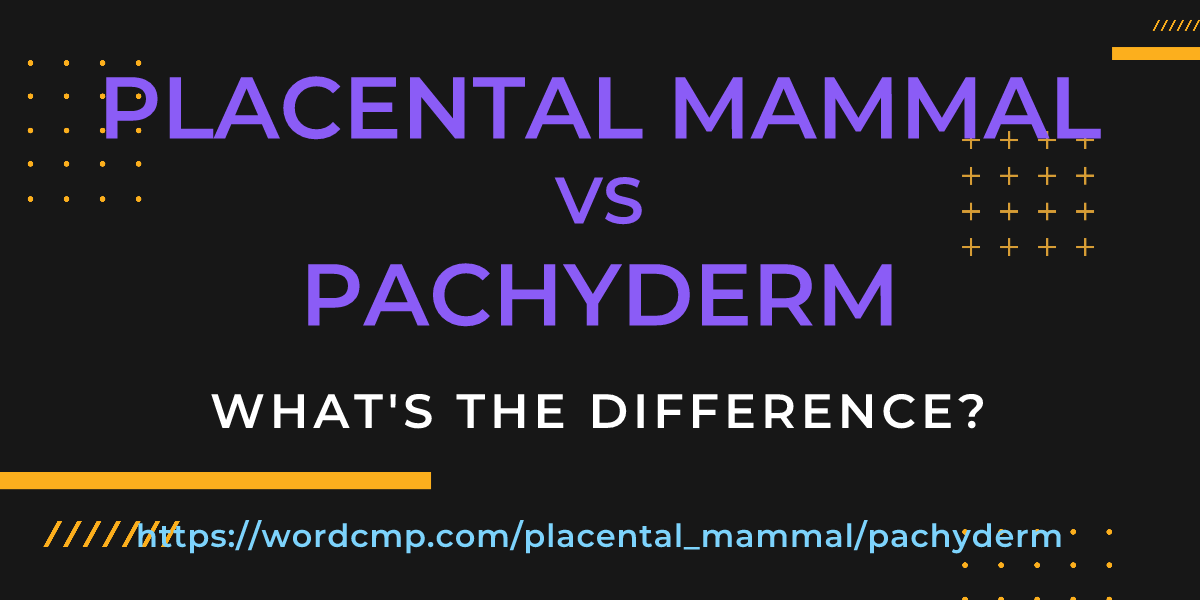 Difference between placental mammal and pachyderm