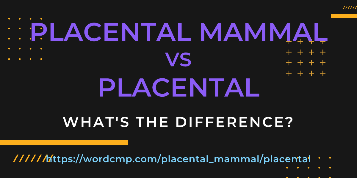Difference between placental mammal and placental