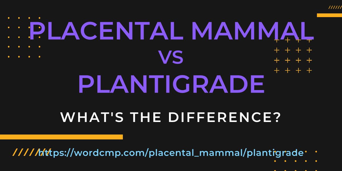Difference between placental mammal and plantigrade