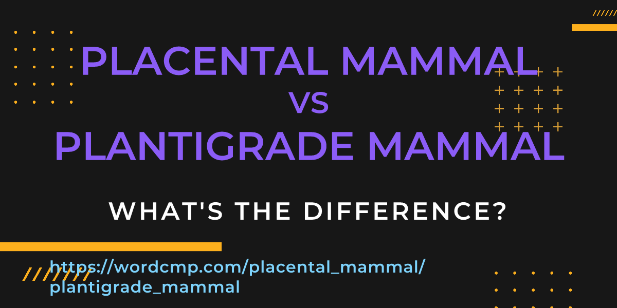 Difference between placental mammal and plantigrade mammal