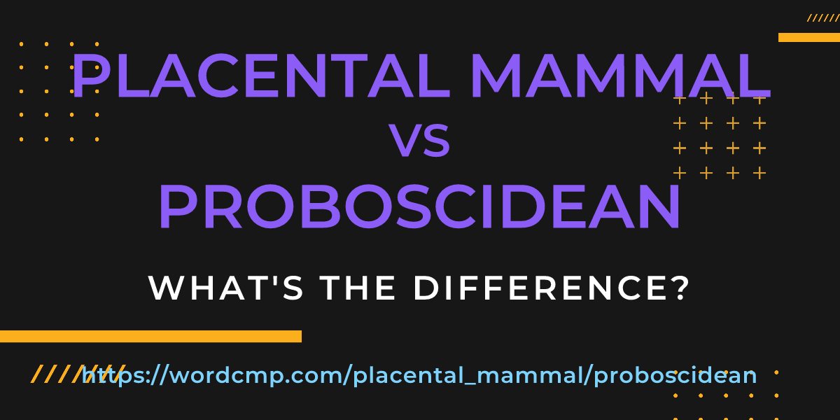 Difference between placental mammal and proboscidean