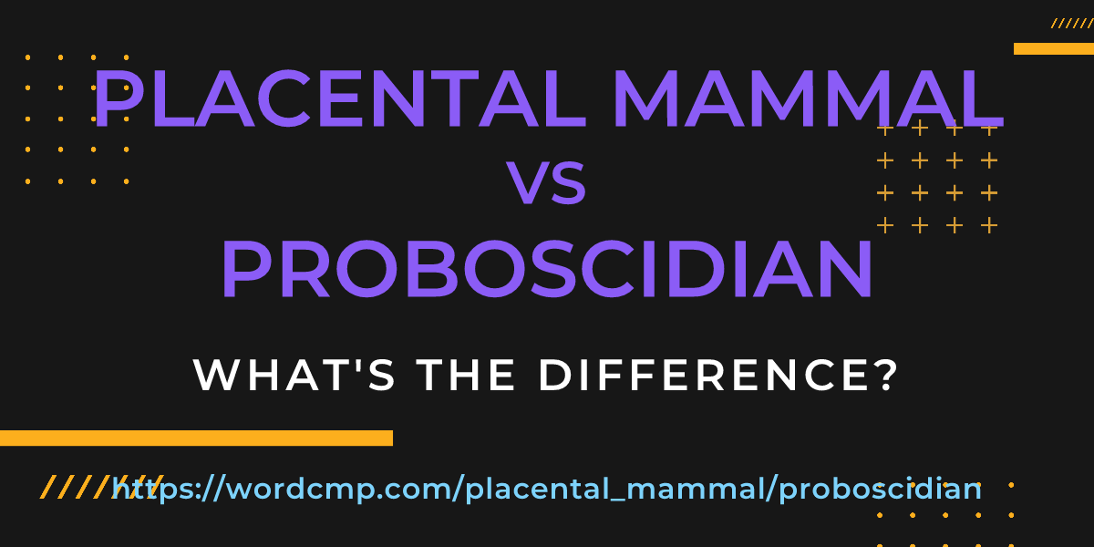 Difference between placental mammal and proboscidian