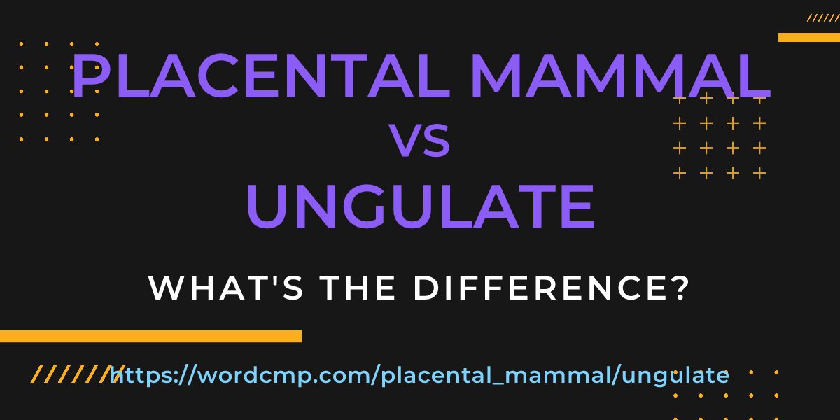 Difference between placental mammal and ungulate