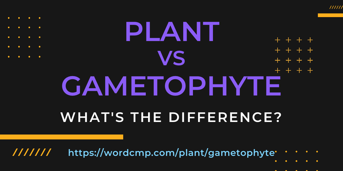 Difference between plant and gametophyte
