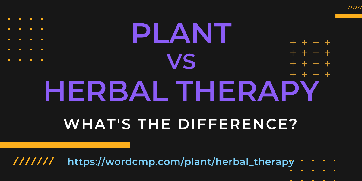 Difference between plant and herbal therapy