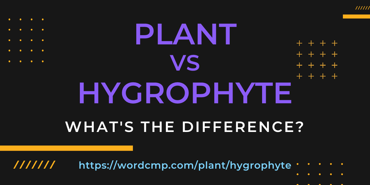 Difference between plant and hygrophyte