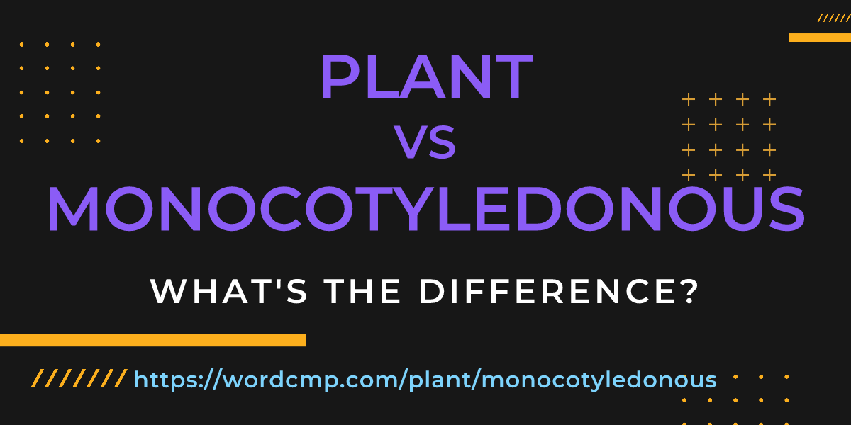 Difference between plant and monocotyledonous