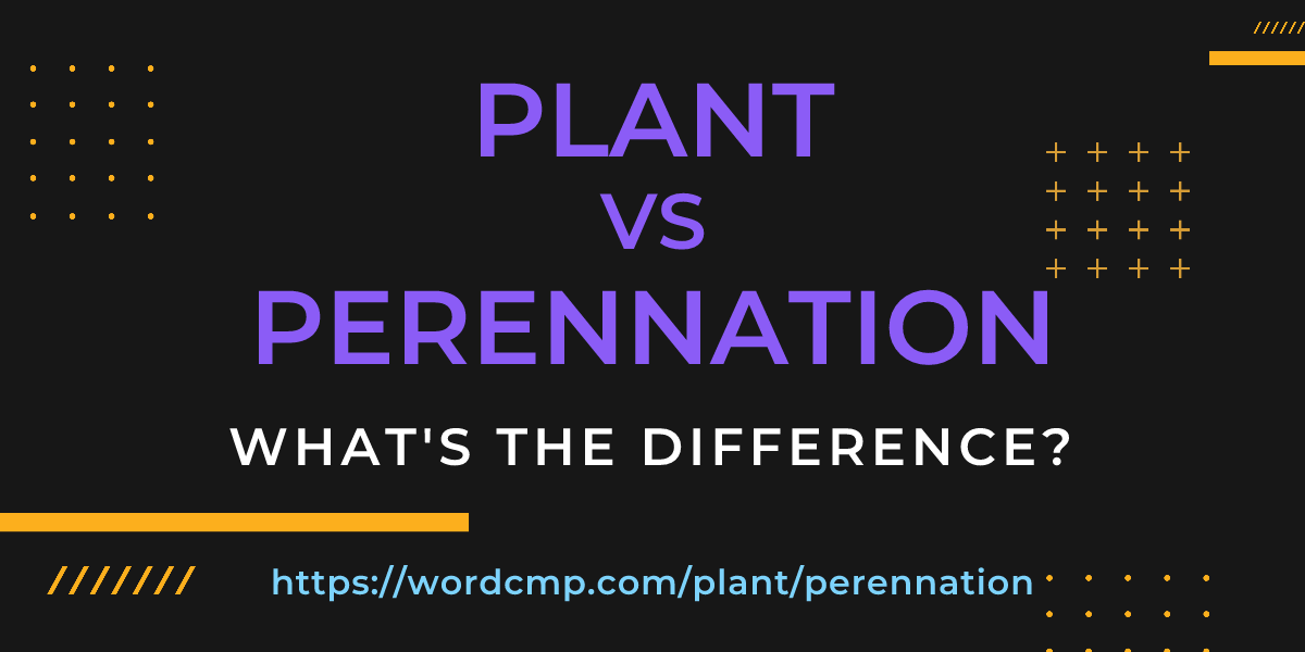 Difference between plant and perennation