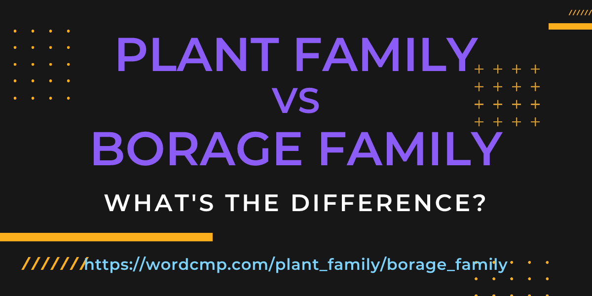 Difference between plant family and borage family