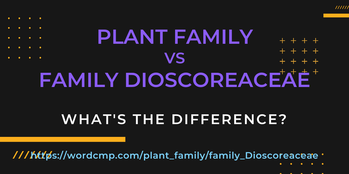 Difference between plant family and family Dioscoreaceae