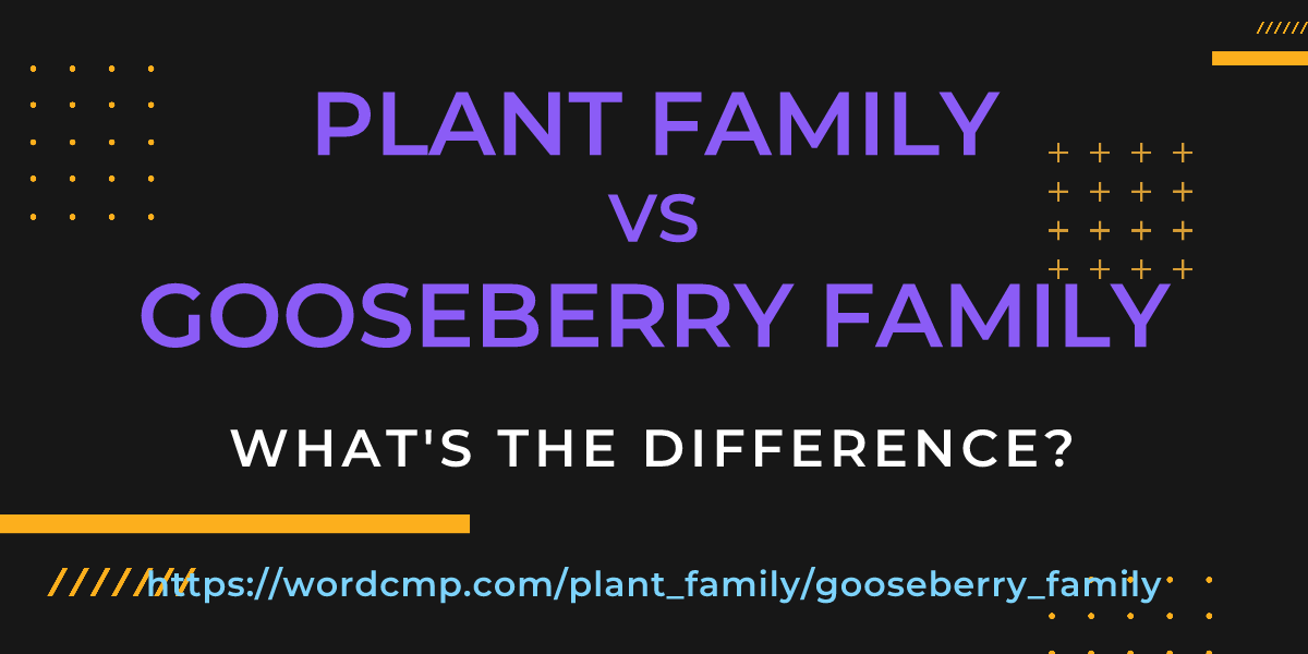 Difference between plant family and gooseberry family