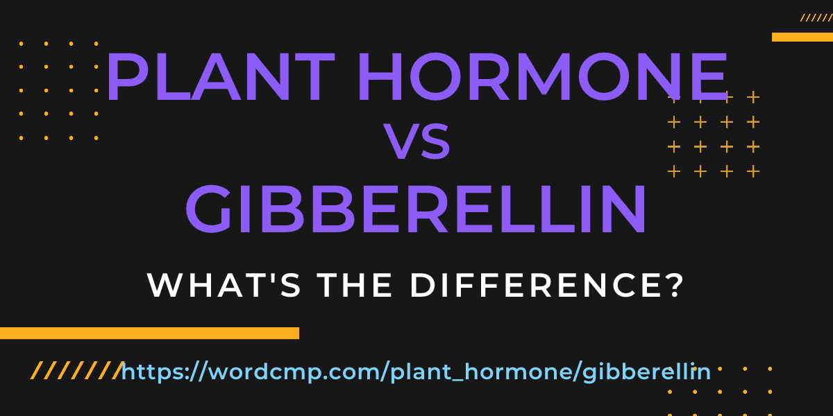 Difference between plant hormone and gibberellin