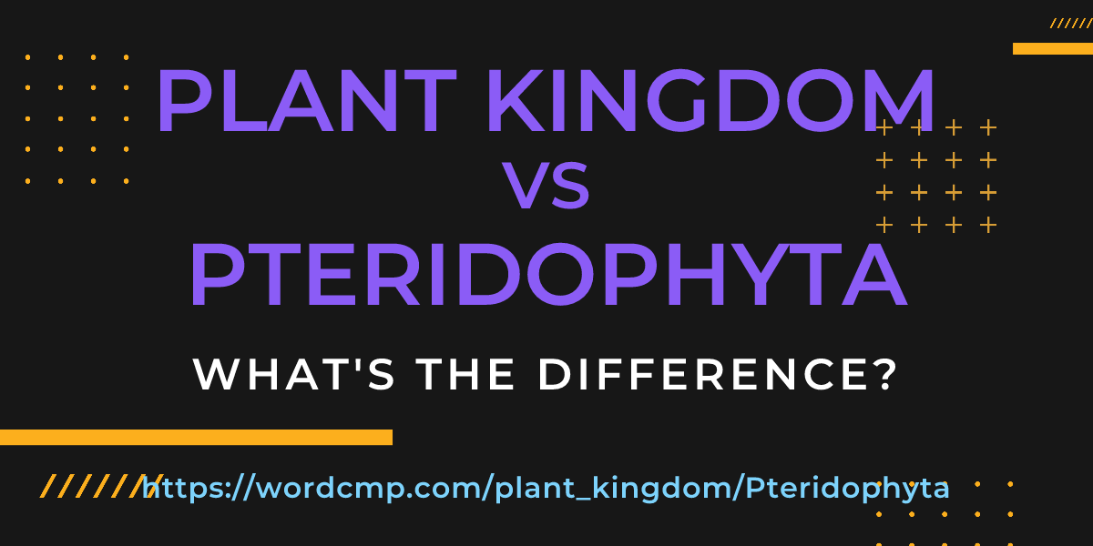 Difference between plant kingdom and Pteridophyta