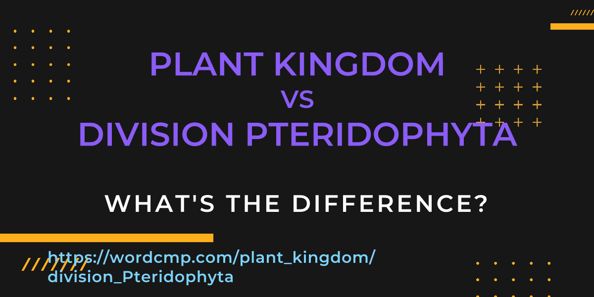 Difference between plant kingdom and division Pteridophyta