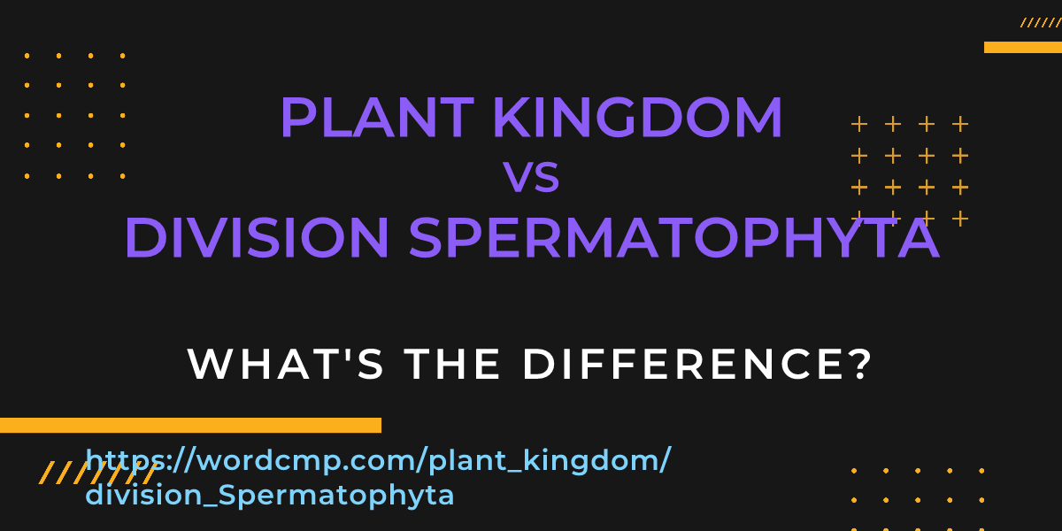 Difference between plant kingdom and division Spermatophyta